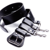 Ceinture feux de forêt 2