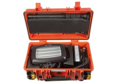 Projector carrying case