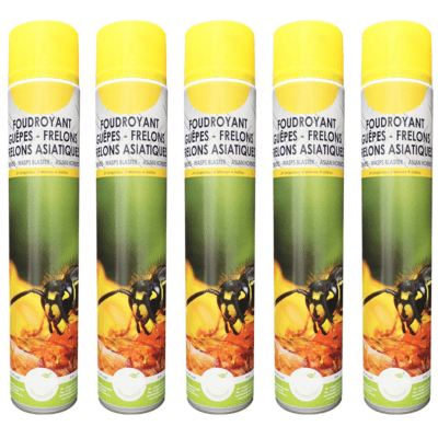 12 Anti-Wespen-/Hornissenspray, Asiatische Hornissen, 1000/750 ml