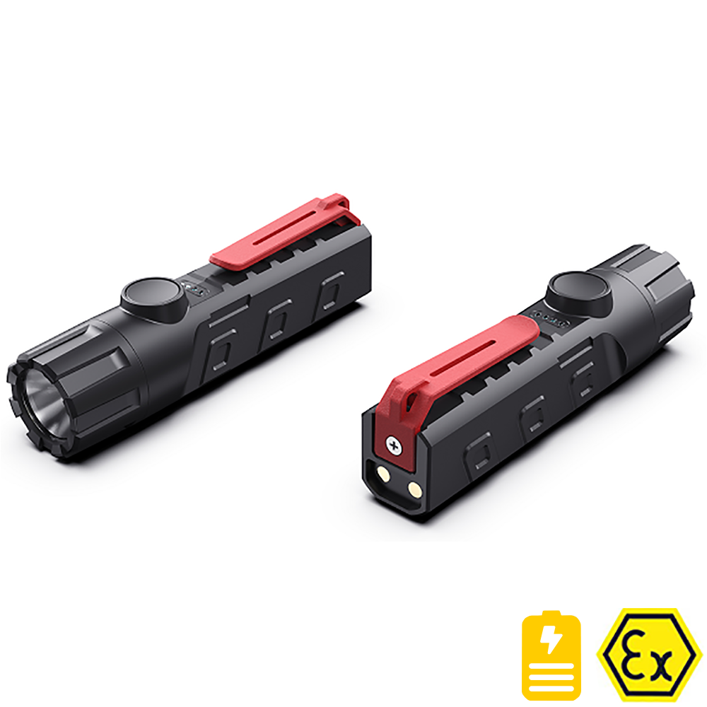 ELP-ExMP31R - Duo atex